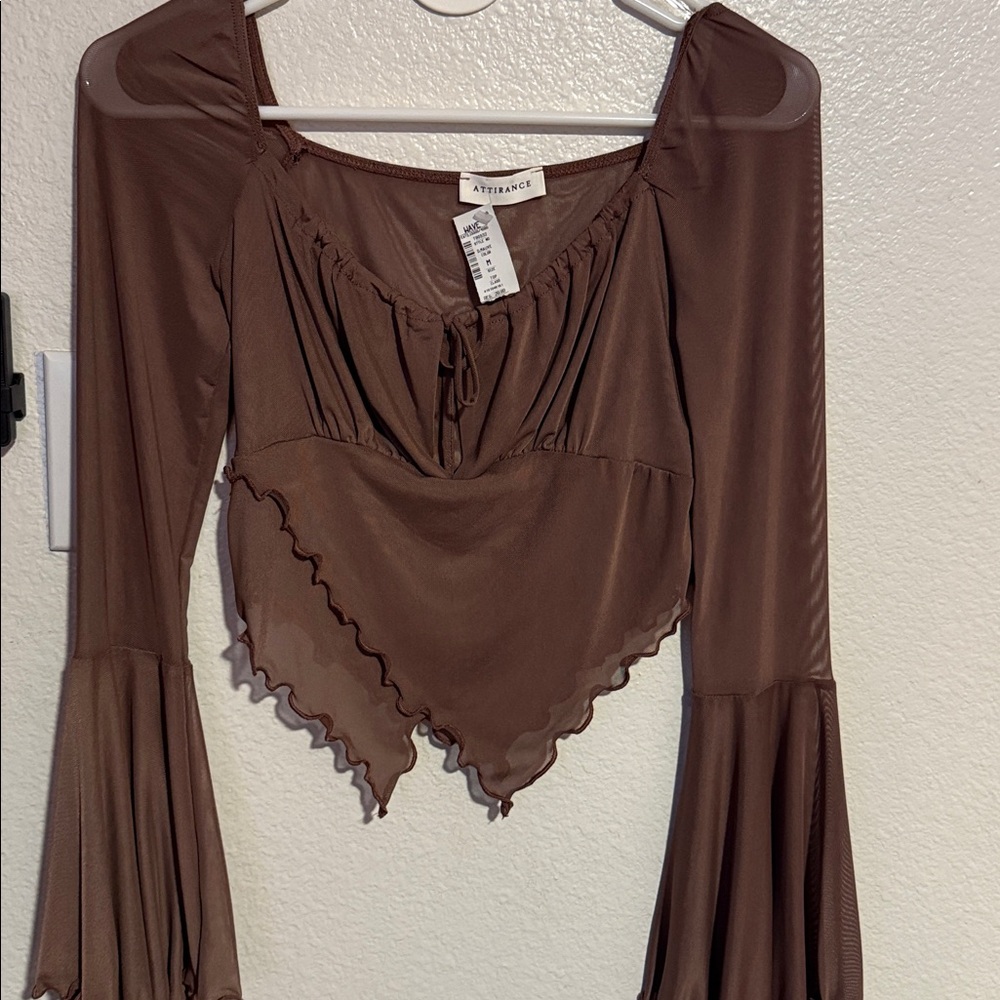 ATTIRANCE Sheer Mauve Long Sleeve Top